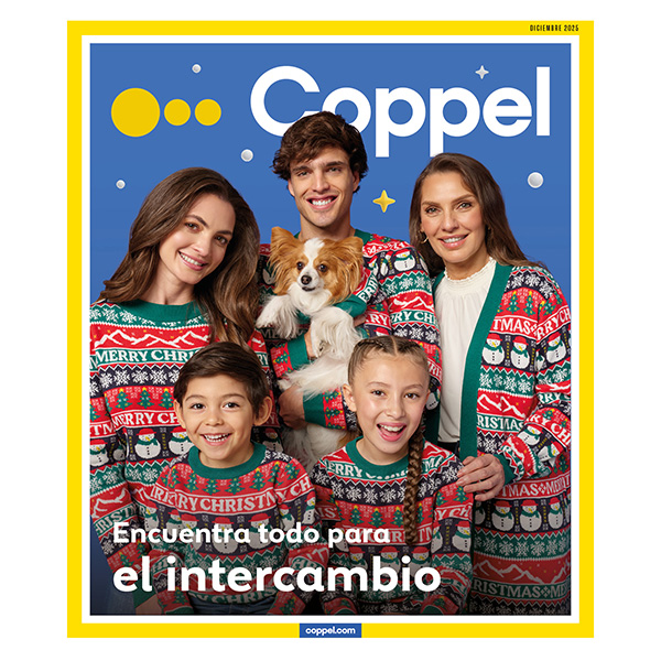 PERIÓDICO DICIEMBRE